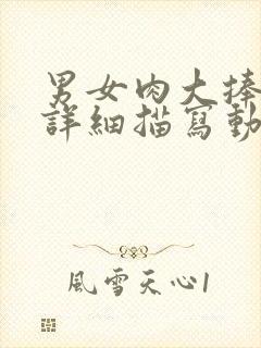 男女肉大捧进出详细描写动态