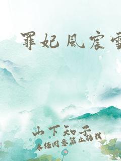 罪妃 风宸雪