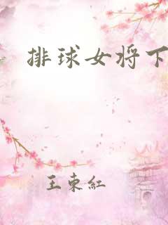 排球女将下载