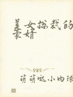 美女总裁的顶级豪婿