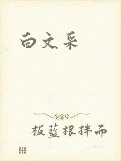 白文采