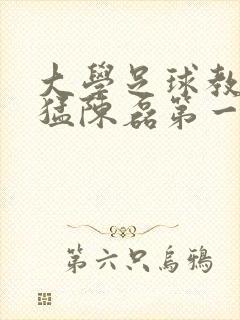 大学足球教练王猛陈磊第一篇