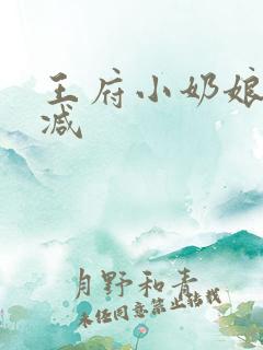 王府小奶娘未删减