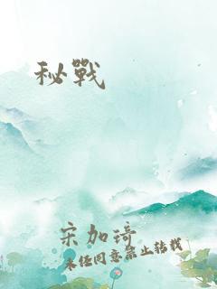 秘战