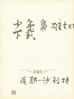 少年枭雄txt下载