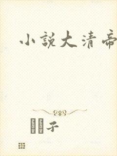 小说大清帝国