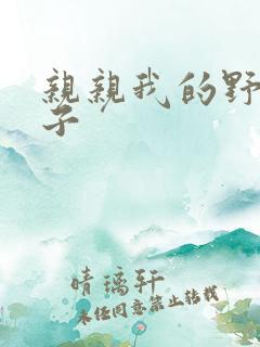 亲亲我的野猪王子