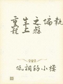 重生之偏执老公宠上瘾