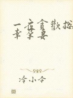 一夜贪欢总裁的幸孕妻