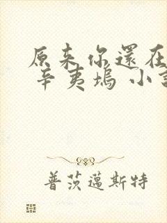 原来你还在这里 辛夷坞 小说