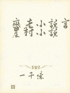 恋老小说言情网农村小说