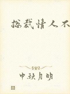 总裁情人不好当