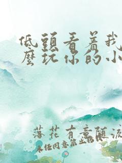 低头看着我是怎么玩你的小说