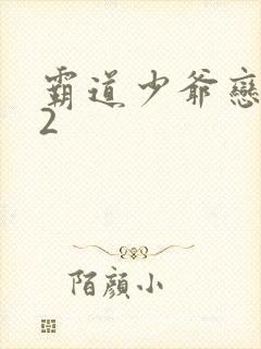 霸道少爷恋上我2