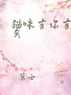 猫咪有你有我足矣