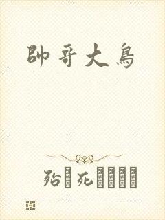 帅哥大鸟