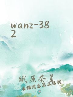 wanz-382
