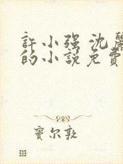 许小强 沈丽娟的小说免费阅读