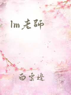 lm老师
