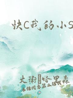 快C我的小SB