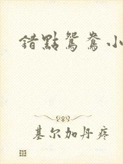 错点鸳鸯小说