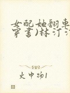 女配她翻车了(穿书)林汀汀