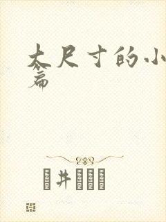 大尺寸的小说短篇