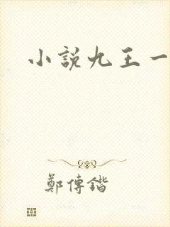 小说九王一后