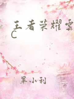 王者荣耀云缨被C