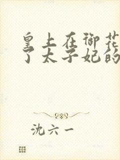 皇上在御花园c了太子妃的网剧