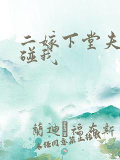 二嫁下堂夫君别碰我