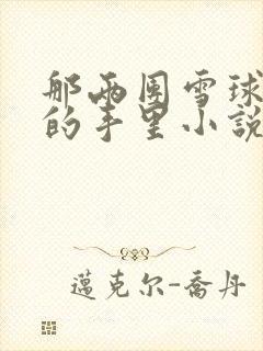 那两团雪球在他的手里小说