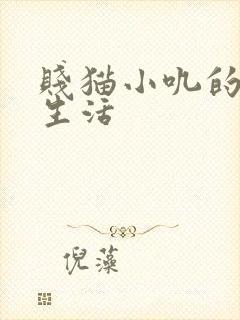 贱猫小叽的幸福生活