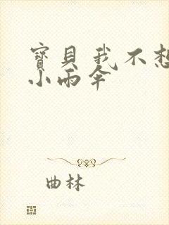 宝贝 我不想带小雨伞