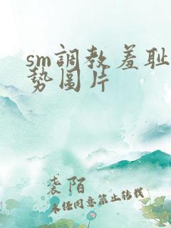 sm调教羞耻姿势图片