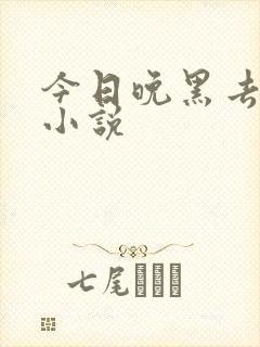 今日晚黑去见你小说