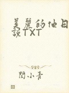 美丽的他日剧小说TXT