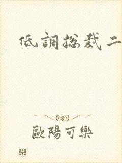 低调总裁二手妻