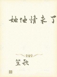 她他情未了