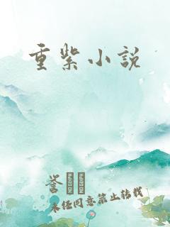 重紫小说