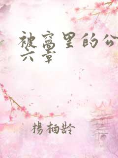 被窝里的公息第六章
