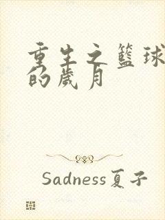 重生之篮球燃烧的岁月