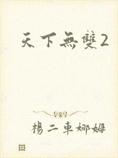 天下无双2