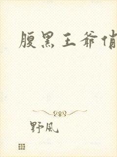 腹黑王爷俏医妃