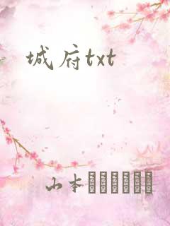 城府txt