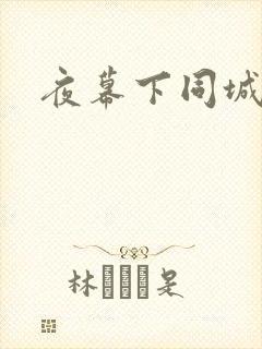 夜幕下同城网