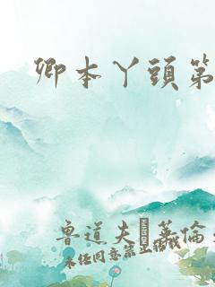 卿本丫头第二部