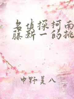 名侦探柯南给工藤新一的挑战书