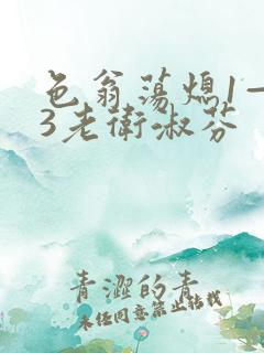 色翁荡熄1—13老卫淑芬