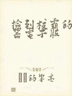 捡到校霸的遥控器电子版